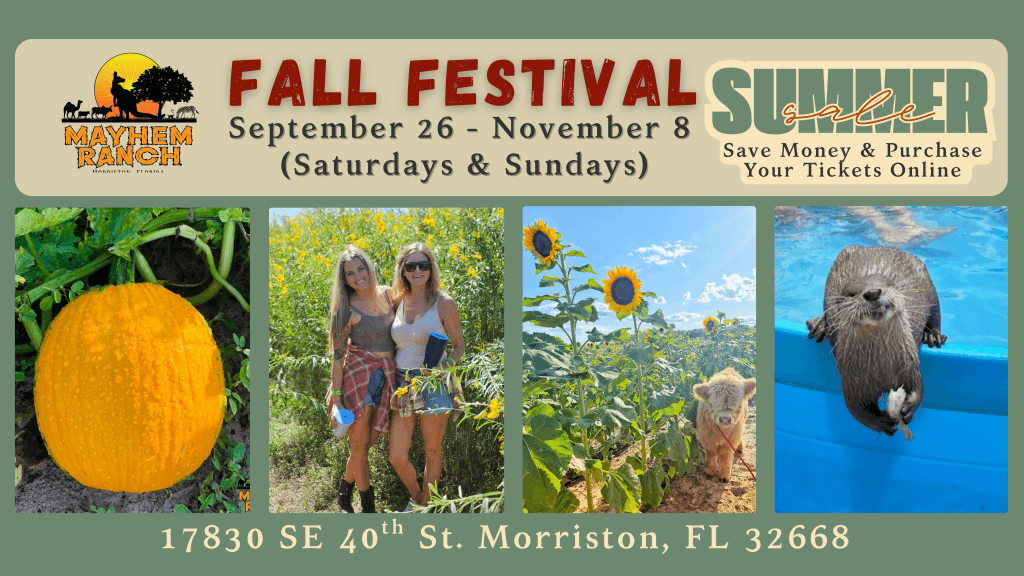 Best Fall Events in Florida – 2026 Edition